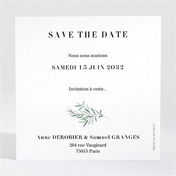 Save the Date mariage a la folie ! - Dos de la carte
