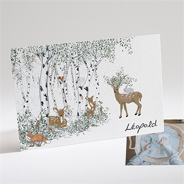 Faire-part naissance a l’orée du bois