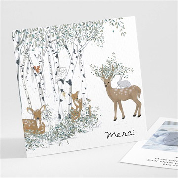 Remerciement naissance a l’orée du bois