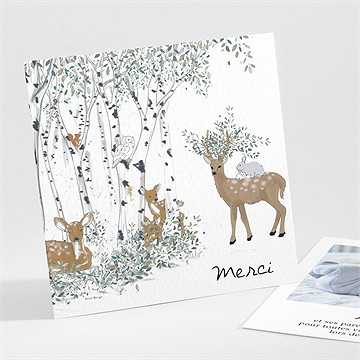 Remerciement naissance a l’orée du bois