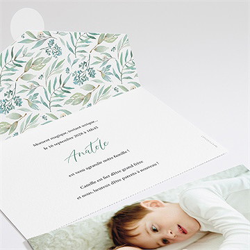 Faire-part naissance tendresse végétale - Intérieur du faire-part