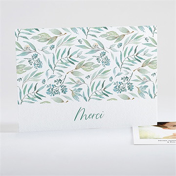 Remerciement naissance tendresse végétale