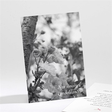 Carte de condoléances décès en image