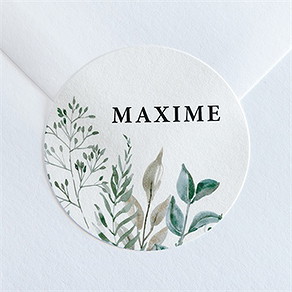 Sticker naissance sur son couffin d'aquarelle