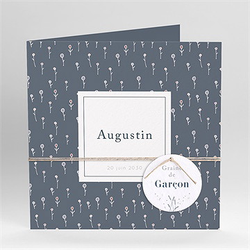 Faire-part naissance graine de garçon