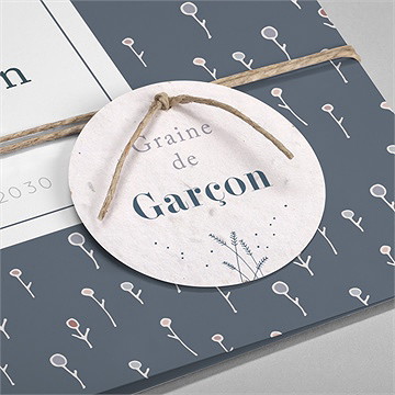 Faire-part naissance graine de garçon - Détail du faire-part
