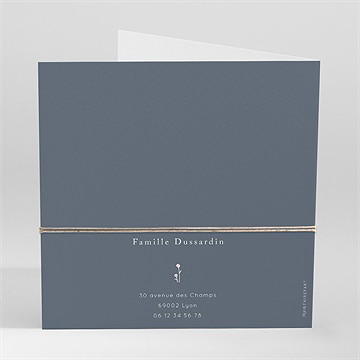 Faire-part naissance graine de garçon - Dos du faire-part