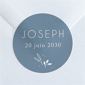 Sticker naissance petite folie