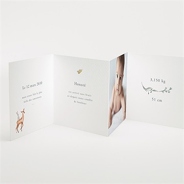 Faire-part naissance la joyeuse bande - Intérieur du faire-part