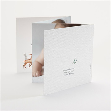 Faire-part naissance la joyeuse bande - Dos du faire-part