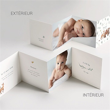 Faire-part naissance la joyeuse bande - Vue d'ensemble