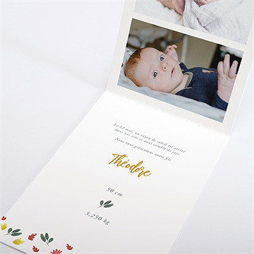 Faire-part naissance lion petit roi - Intérieur du faire-part