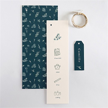 Faire-part naissance symboles de joie - Vue d'ensemble