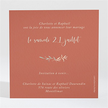 Save the Date mariage terre de feu - Dos de la carte