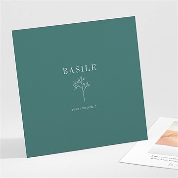 Remerciement naissance tendre pousse