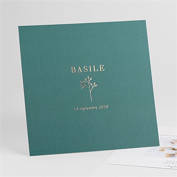 Faire-part naissance tendre pousse