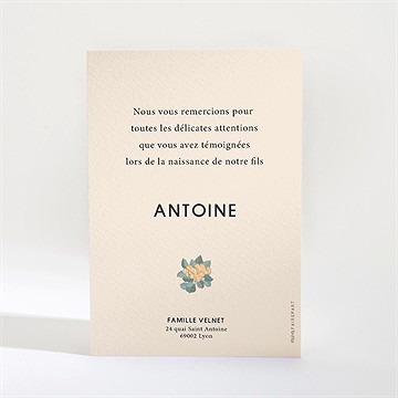 Remerciement naissance tendre love - Dos du remerciement