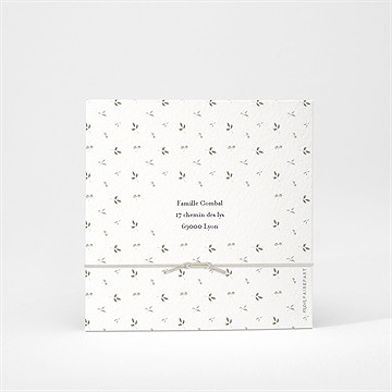 Faire-part naissance beau chouchou - Dos du faire-part