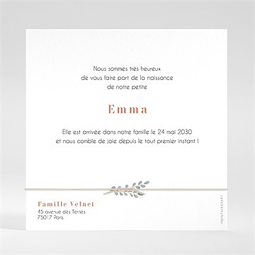 Faire-part naissance petite tribu - Dos du faire-part