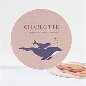 Remerciement naissance jolie baleine