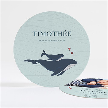 Faire-part naissance mon petit baleineau