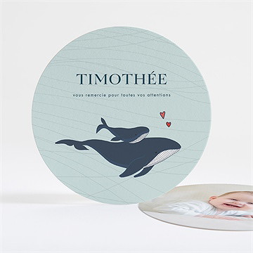 Remerciement naissance mon petit baleineau