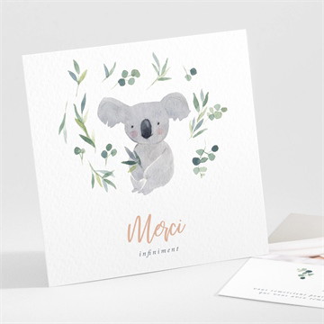 Remerciement naissance mon koala