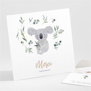 Remerciement naissance mon koala