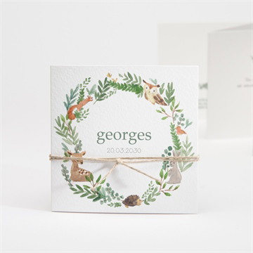 Faire-part naissance tendre flore