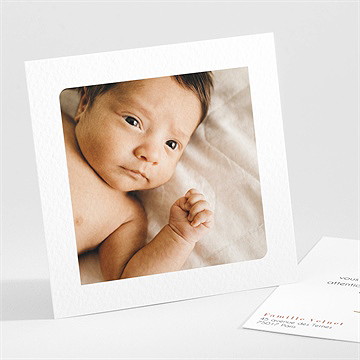 Remerciement naissance petite tribu