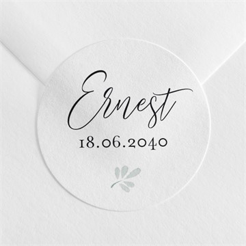 Sticker naissance beau chouchou dorure