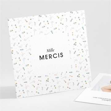 Remerciement naissance petit chouchou accordéon