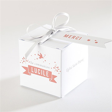 Boîte de dragées communion lumière
