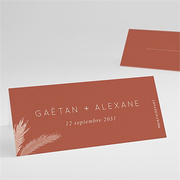 Marque-place mariage terracotta pampa