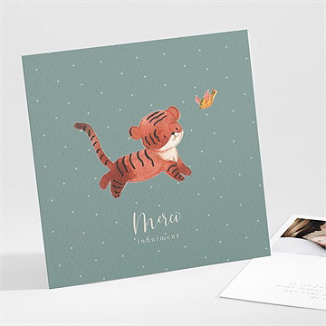 Remerciement naissance petit tigrou