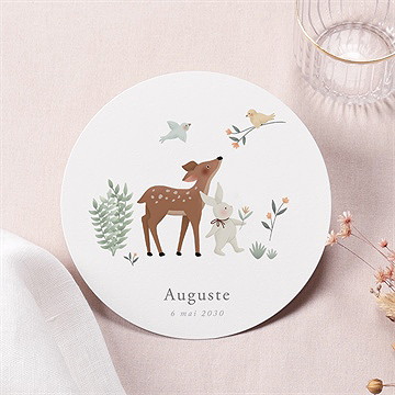 Faire-part naissance petits compères