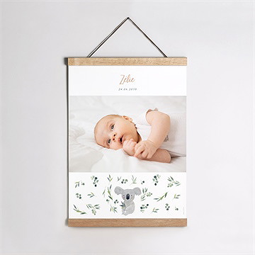 Affiche naissance mon koala