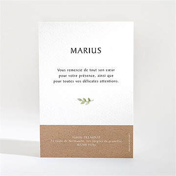 Remerciement communion illustration végétale - Dos de la carte