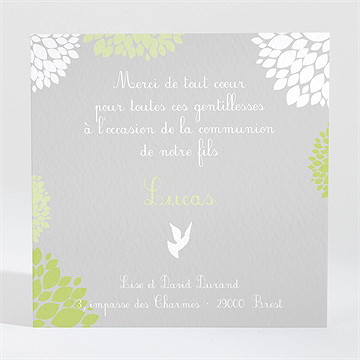 Remerciement communion cadre gris et lumière - Dos de la carte
