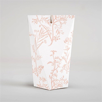 Boîte surprise communion gravures végétales - Dos de la boîte