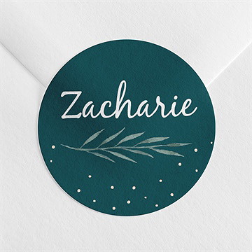 Sticker naissance flocons délicats