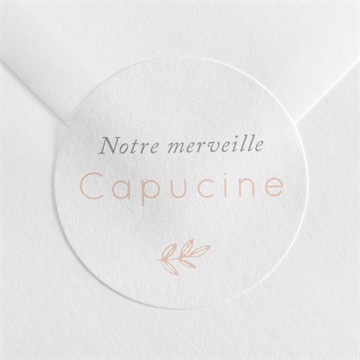 Sticker naissance symbiose accordéon