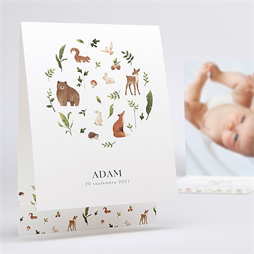 Faire-part naissance compères