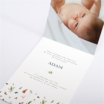 Faire-part naissance compères - Intérieur du faire-part