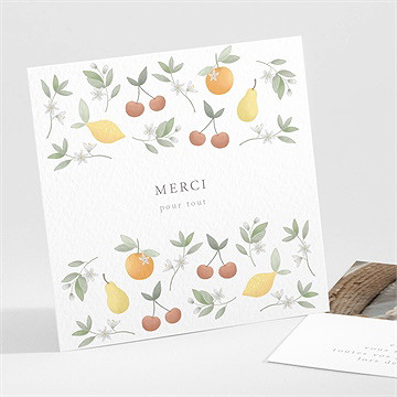 Remerciement naissance poésie d'eté