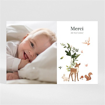 Remerciement naissance petite jungle