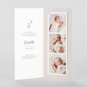 Faire-part naissance champetre - Intérieur du faire-part