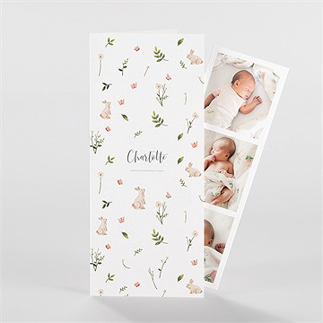 Faire-part naissance champetre - Vue d'ensemble