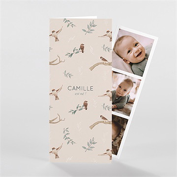 Faire-part naissance sur un arbre perché