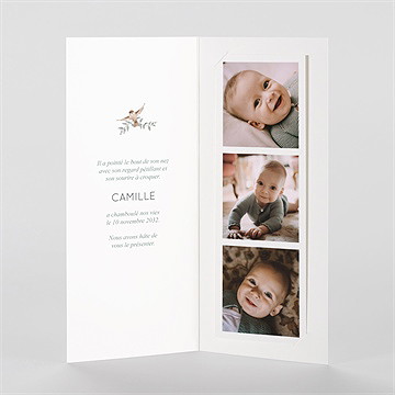 Faire-part naissance sur un arbre perché - Intérieur du faire-part